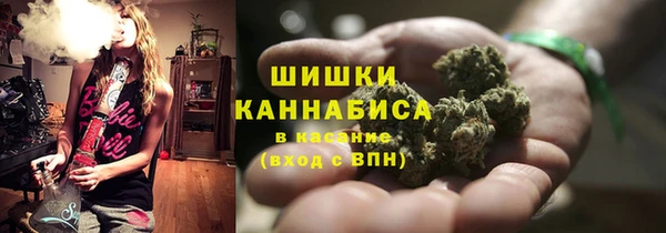 не бодяженный Гусиноозёрск