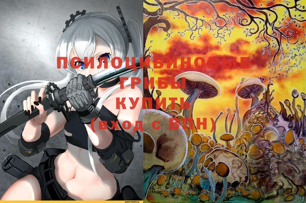 бутик Гусь-Хрустальный