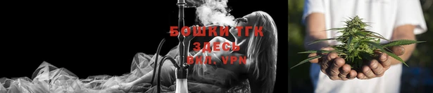 скорость Гусев