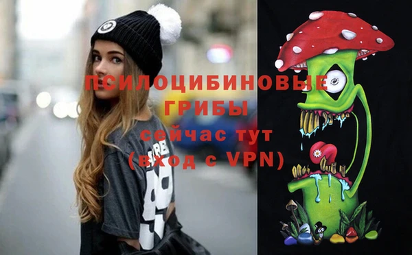 не бодяженный Гусиноозёрск