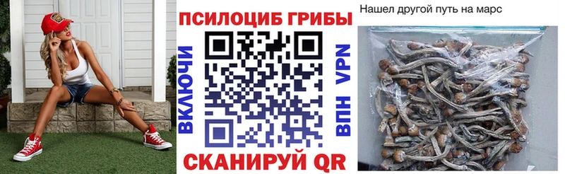 Псилоцибиновые грибы мицелий Ельня