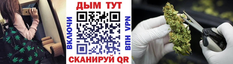 Конопля семена  Ельня 